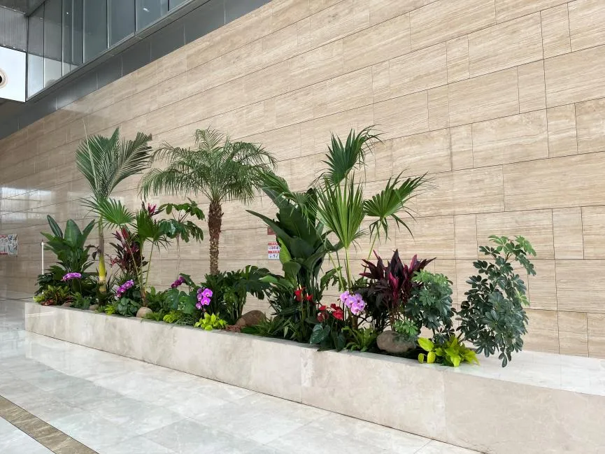 揭秘奉化绿植租摆公司，让环境瞬间鲜活的魔法！