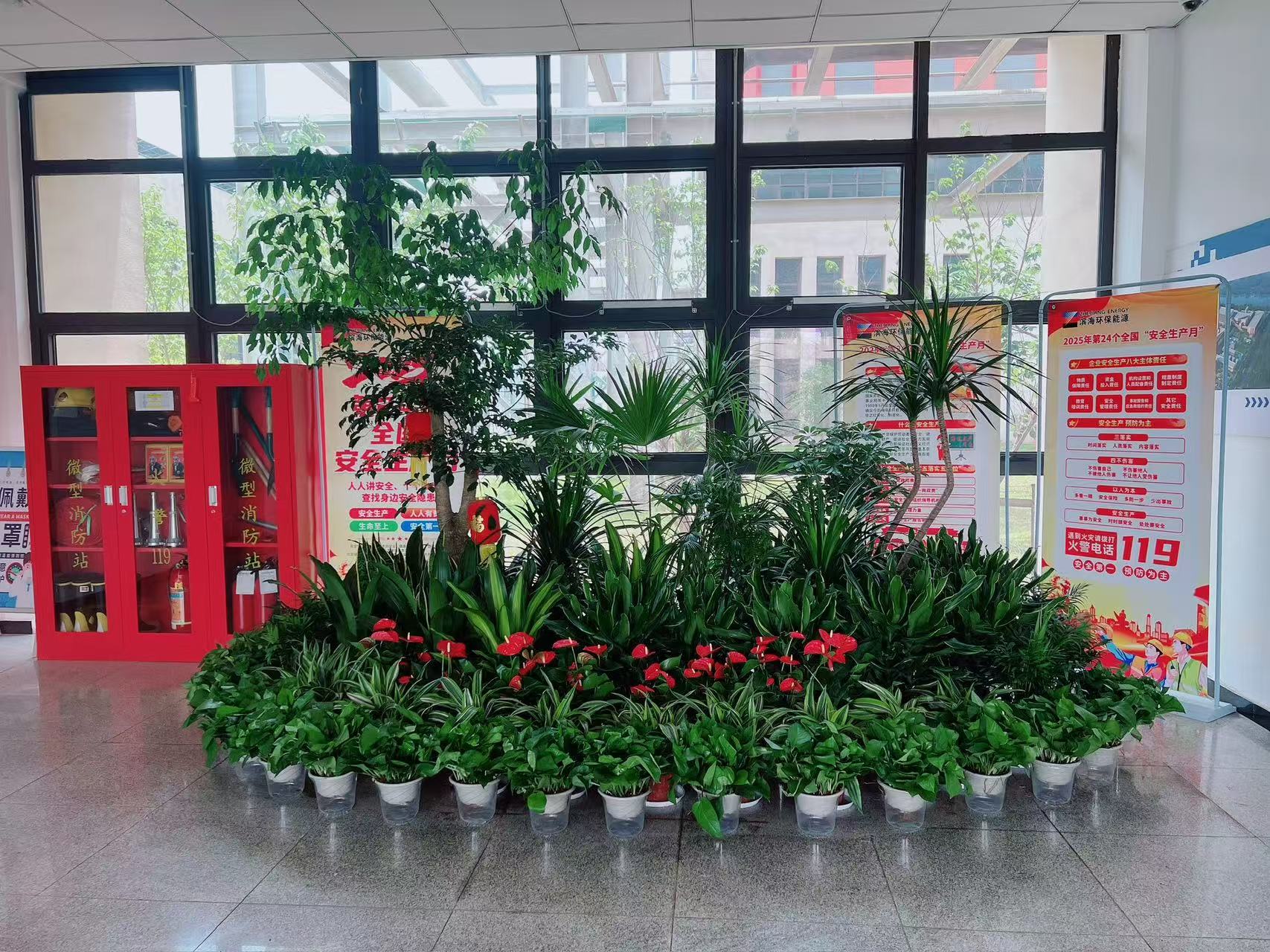 宁波鄞州花卉租赁