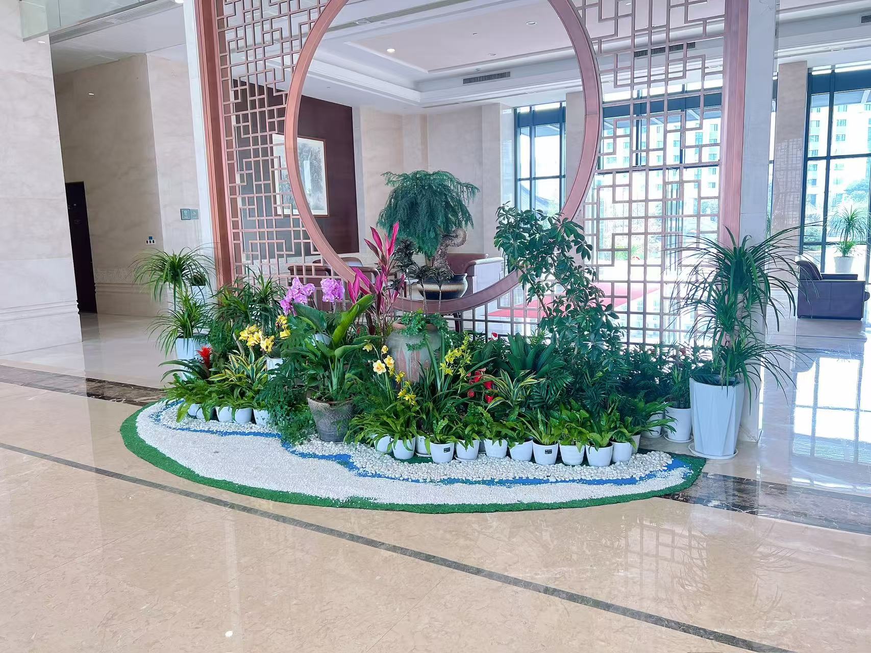 速戳！宁波镇海植物租赁价格全知道